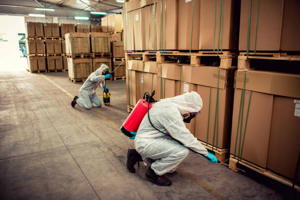 Best Pest Prevention Services  in Baltimore Highlands, MD