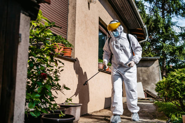 Best Best Pest Control Near Me  in Baltimore Highlands, MD
