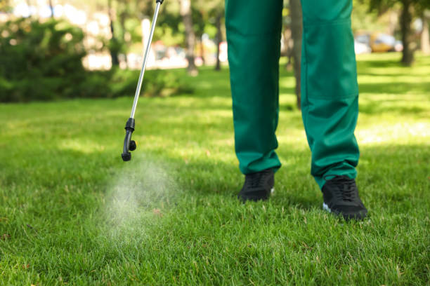 Best Rat Extermination Near Me  in Baltimore Highlands, MD