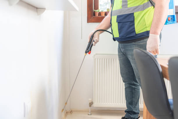 Best Emergency Pest Control  in Baltimore Highlands, MD