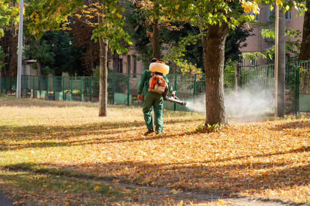 Best Pest Inspection Near Me  in Baltimore Highlands, MD