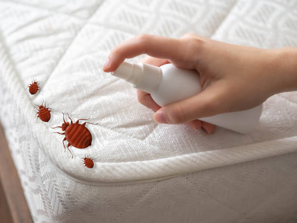 Best Commercial Pest Control Services  in Baltimore Highlands, MD