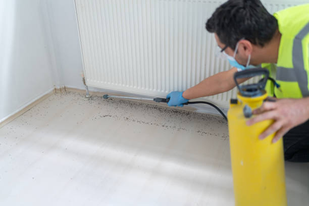 Reliable Baltimore Highlands, MD Pest Control Solutions