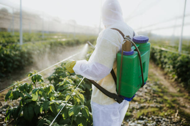 Best Bed Bug Extermination  in Baltimore Highlands, MD
